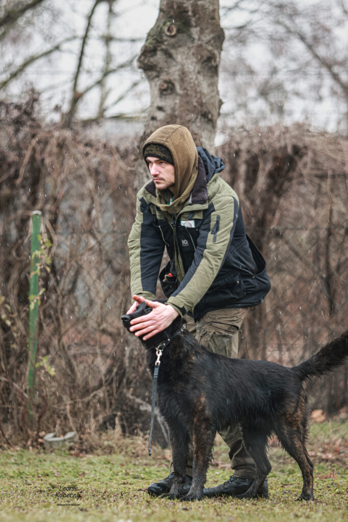 Praxisnahes IGP-Training mit Hunden und Hundeführern beim Neujahresempfang „IGP im Kopf“