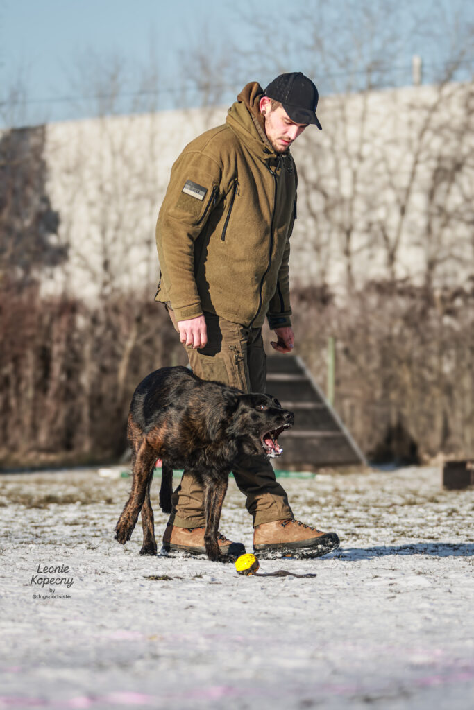 Praxisnahes IGP-Training mit Hunden und Hundeführern beim Neujahresempfang „IGP im Kopf“