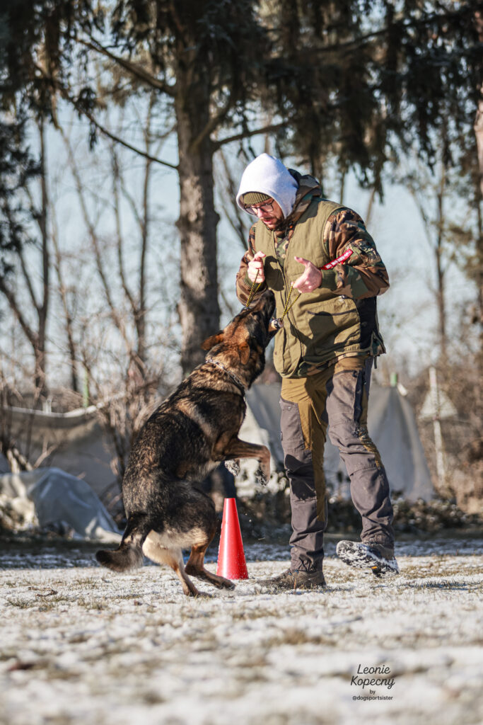 Praxisnahes IGP-Training mit Hunden und Hundeführern beim Neujahresempfang „IGP im Kopf“