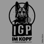 IGP im Kopf Autoaufkleber für Fahrzeuge im Hundesport